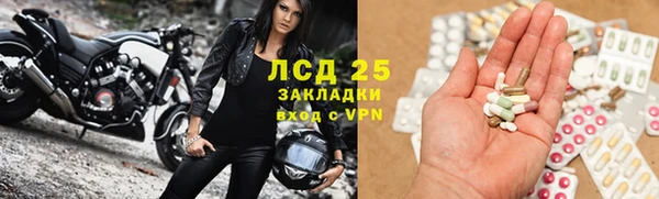 стафф Сосновый Бор