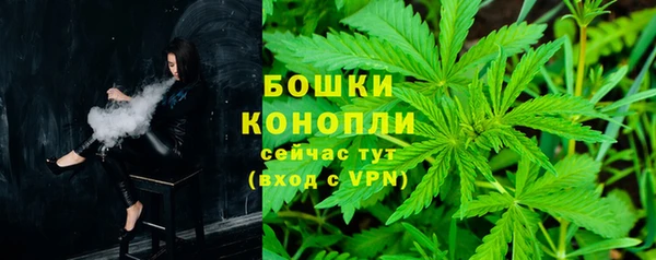 стафф Сосновый Бор