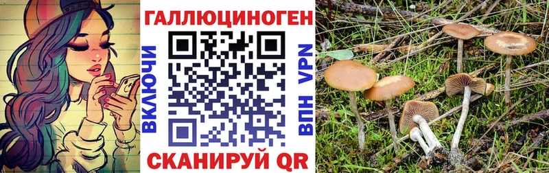 Галлюциногенные грибы GOLDEN TEACHER  Купить закладки  Купино 